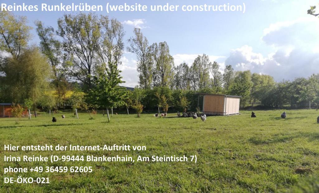 Hier entsteht eine neue Internetseite mit Thüringens schönsten Hühnenern.